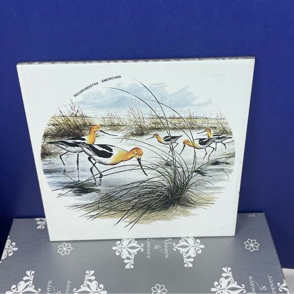 Ceramic 8x8 Avocet Bird Art Tile Trivet Mexico Recurvirostra Americana - Picture 2 of 7